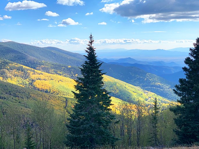 View of October aspen trees from the Ski Valley.